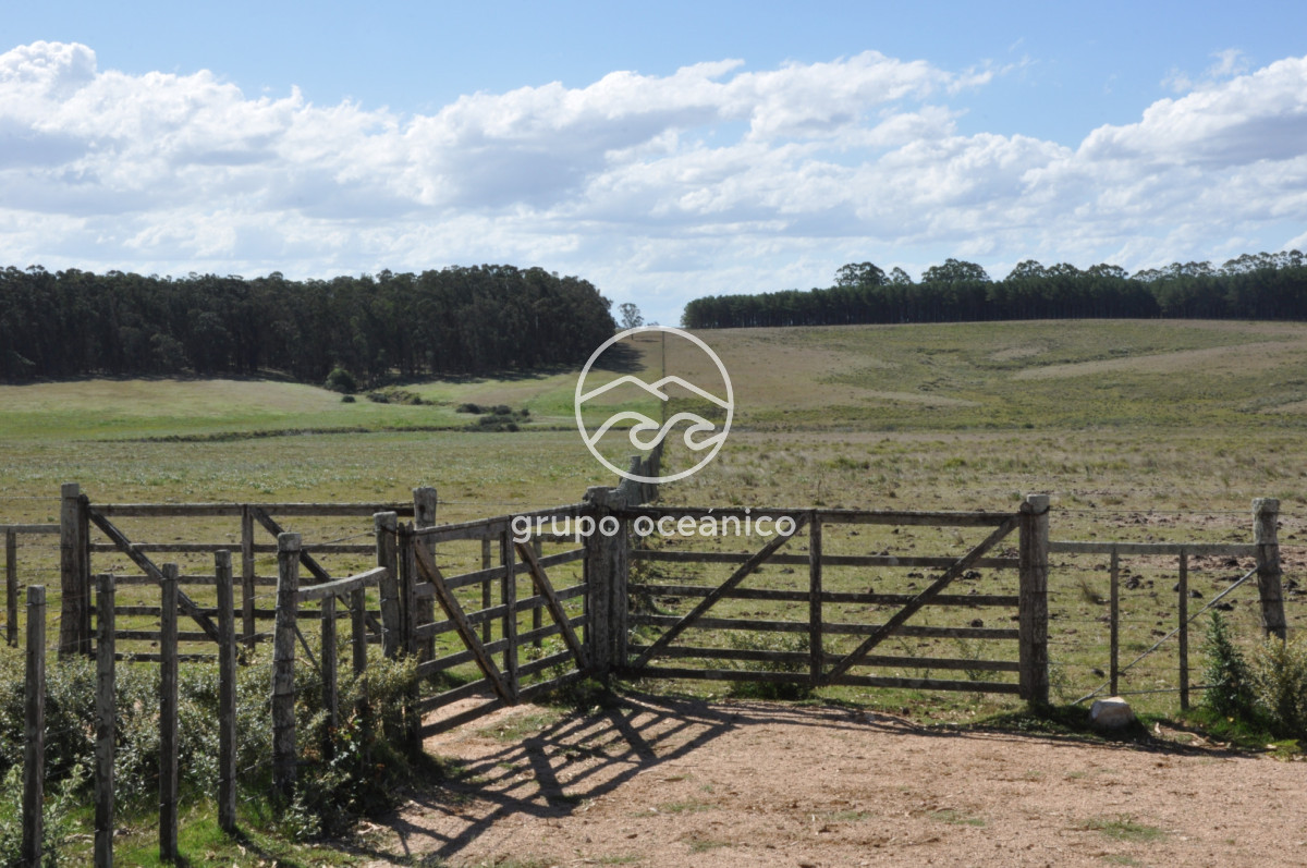 Campo Ref.44 - Campo con instalaciones y casas en Ruta 9 y camino Anastasio