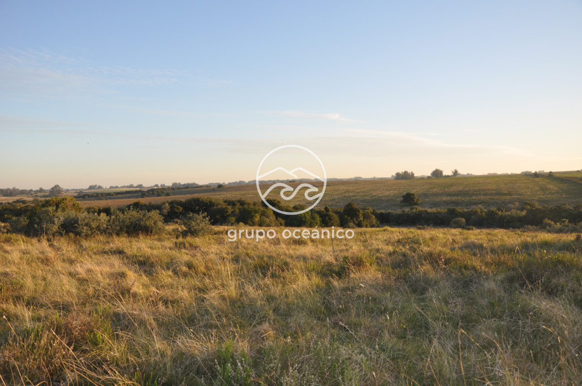 Campo Ref.3 - Campo de 39 hectáreas en Rincón de José Ignacio