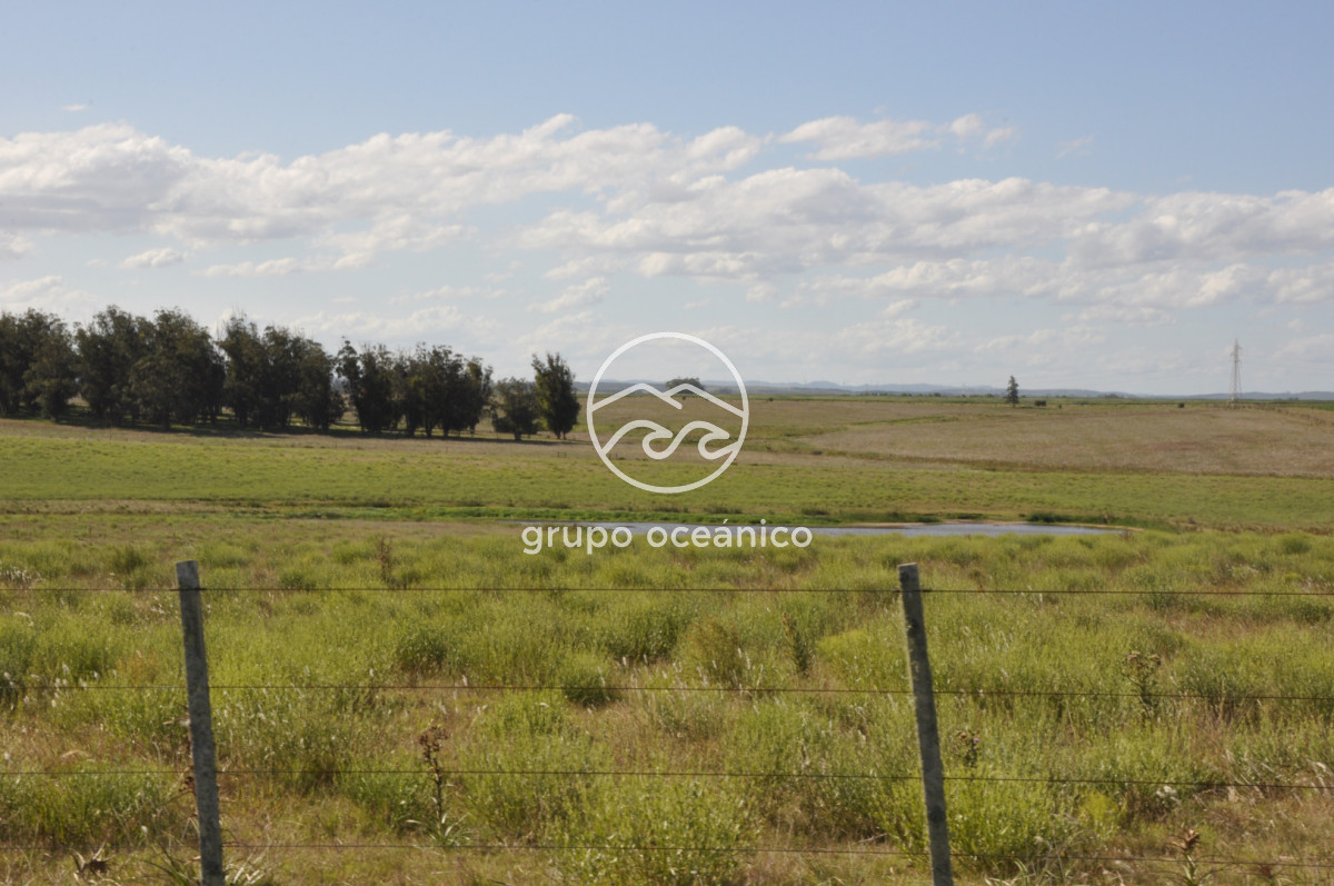 Campo Ref.44 - Campo con instalaciones y casas en Ruta 9 y camino Anastasio