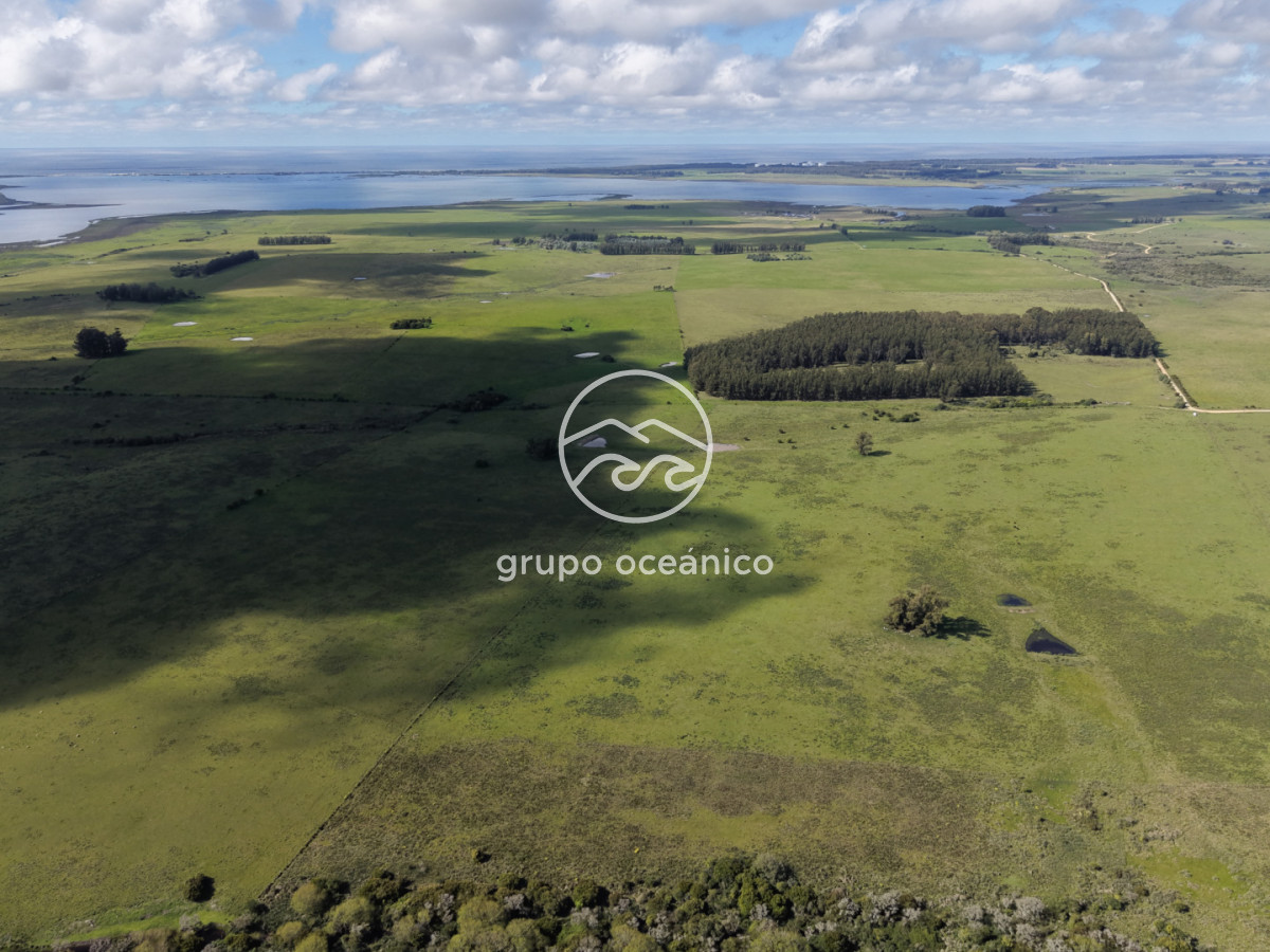 Campo Ref.2 - Campo de 50 hectáreas en Rincón de José Ignacio