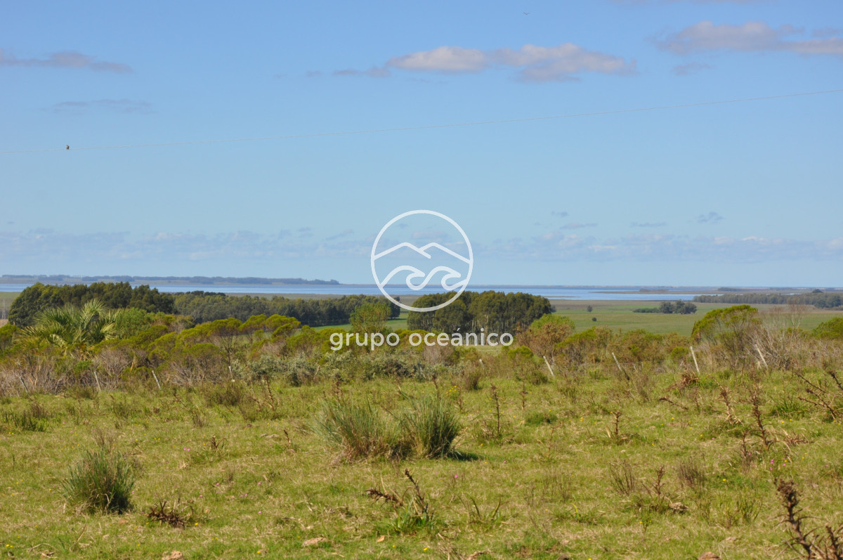 Campo Ref.53 - Campo Rocha Ruta 9 Km 196