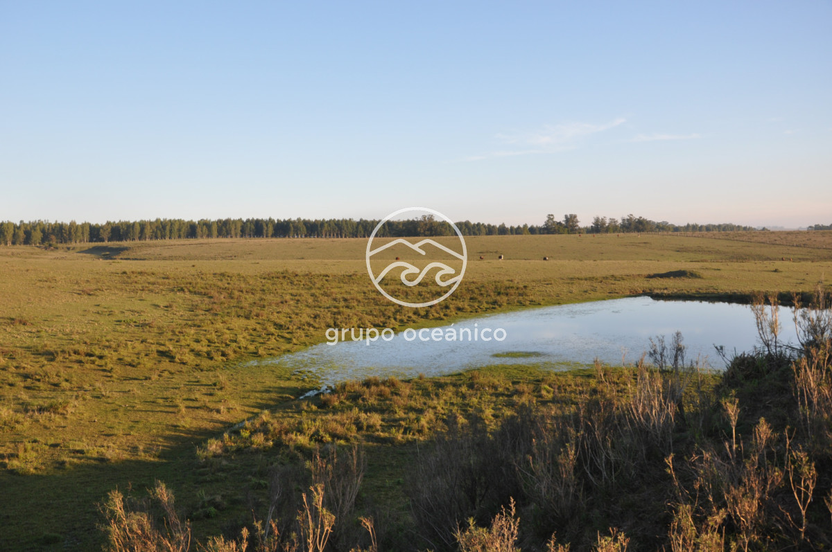 Campo Ref.64 - Campo 30.5 Há sobre Sainz Martínez