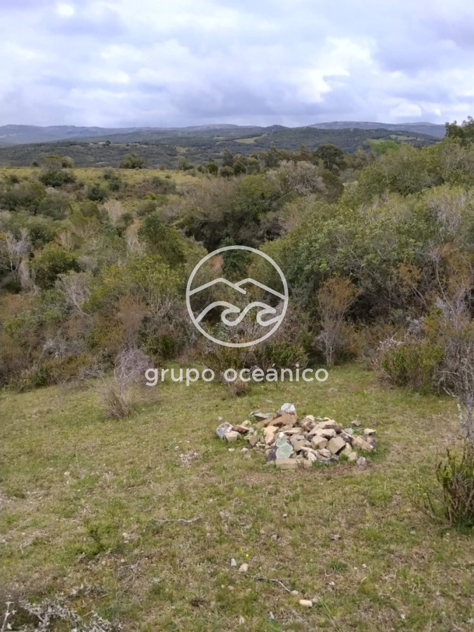 Campo Ref.92 - Campo 4 +3 há Paso de la Cantera 