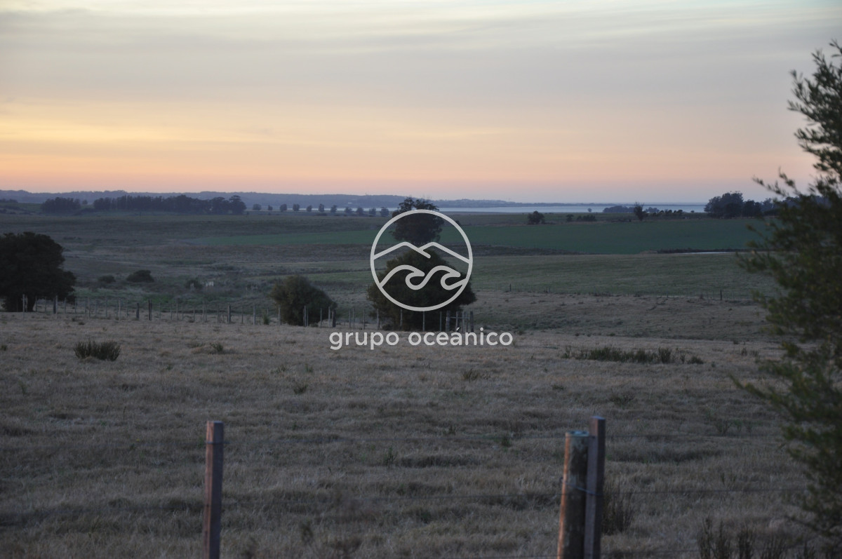 Campo Ref.3 - Campo de 39 hectáreas en Rincón de José Ignacio