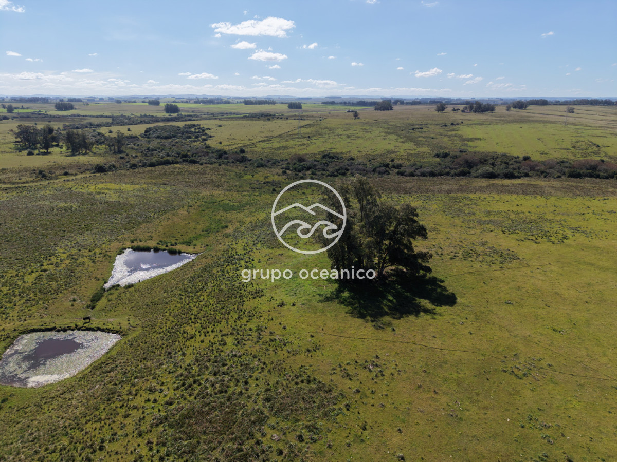 Campo Ref.2 - Campo de 50 hectáreas en Rincón de José Ignacio
