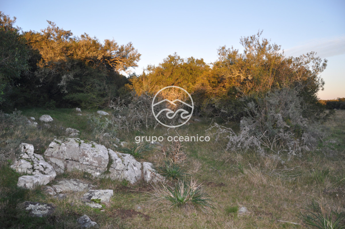 Campo Ref.4 - P 20673 Ruta 9 José Ignacio