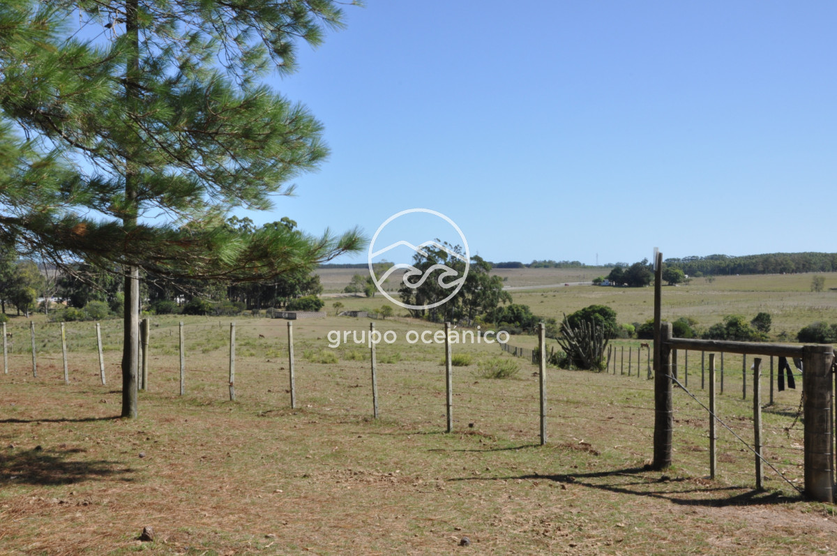 Campo Ref.44 - Campo con instalaciones y casas en Ruta 9 y camino Anastasio