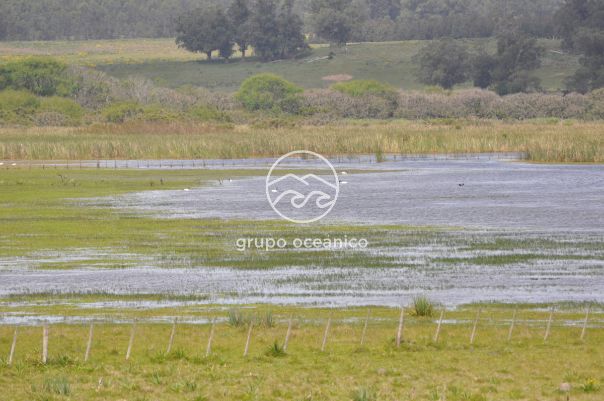 Campo Ref.89 - Campo 280 há sobre Laguna Garzón Área Protegida