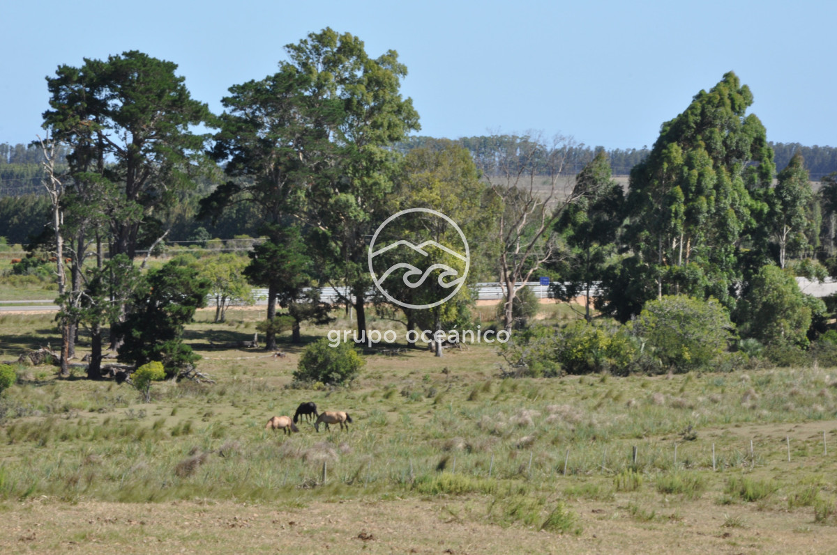 Campo Ref.44 - Campo con instalaciones y casas en Ruta 9 y camino Anastasio