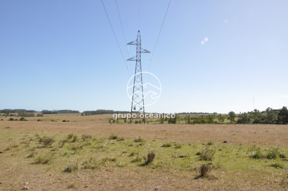 Campo Ref.44 - Campo con instalaciones y casas en Ruta 9 y camino Anastasio