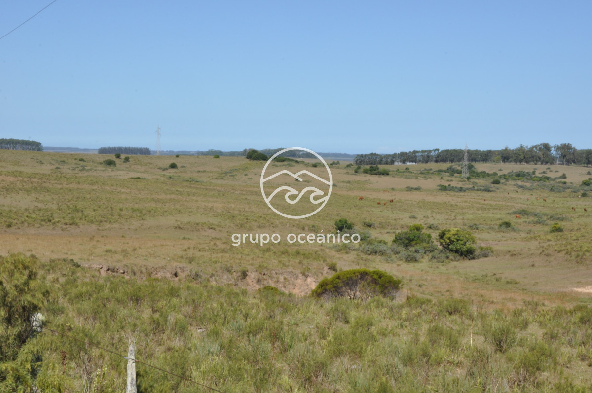 Campo Ref.44 - Campo con instalaciones y casas en Ruta 9 y camino Anastasio