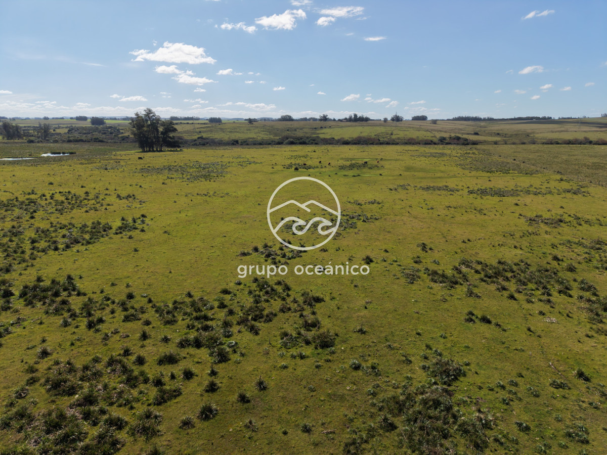 Campo Ref.2 - Campo de 50 hectáreas en Rincón de José Ignacio