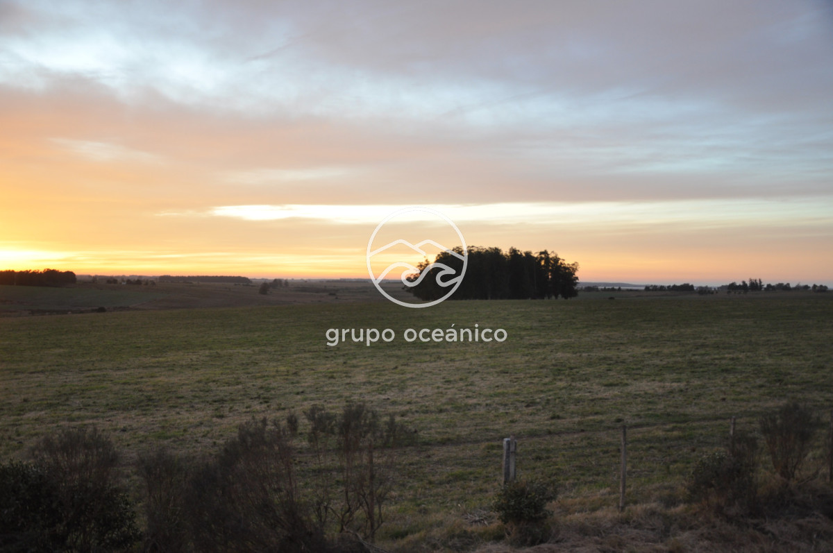 Campo Ref.3 - Campo de 39 hectáreas en Rincón de José Ignacio