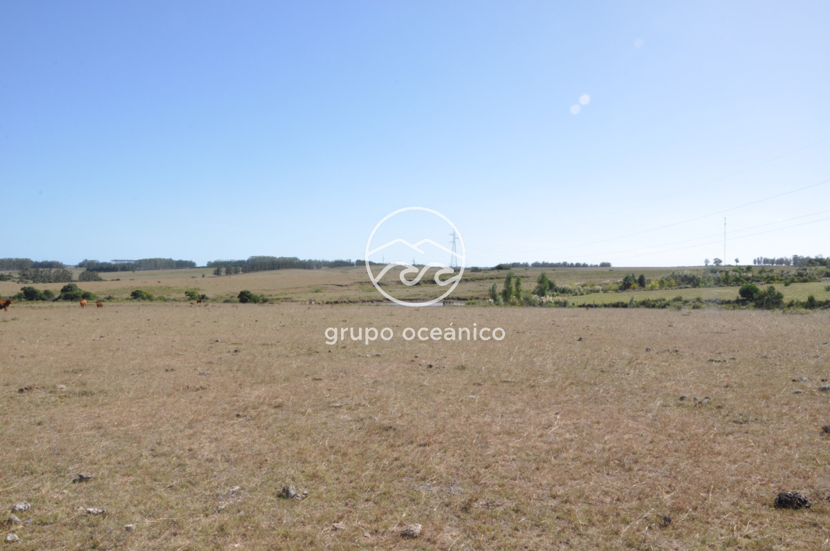 Campo Ref.44 - Campo con instalaciones y casas en Ruta 9 y camino Anastasio