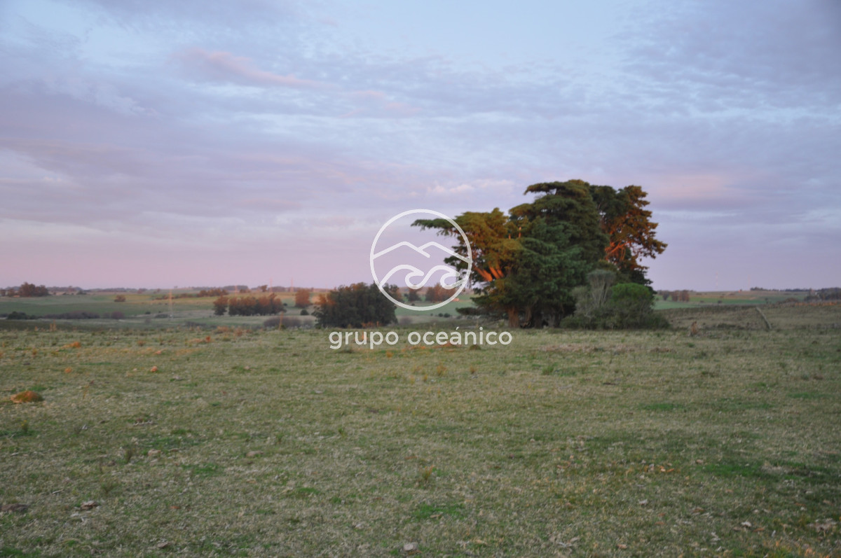 Campo Ref.3 - Campo de 39 hectáreas en Rincón de José Ignacio