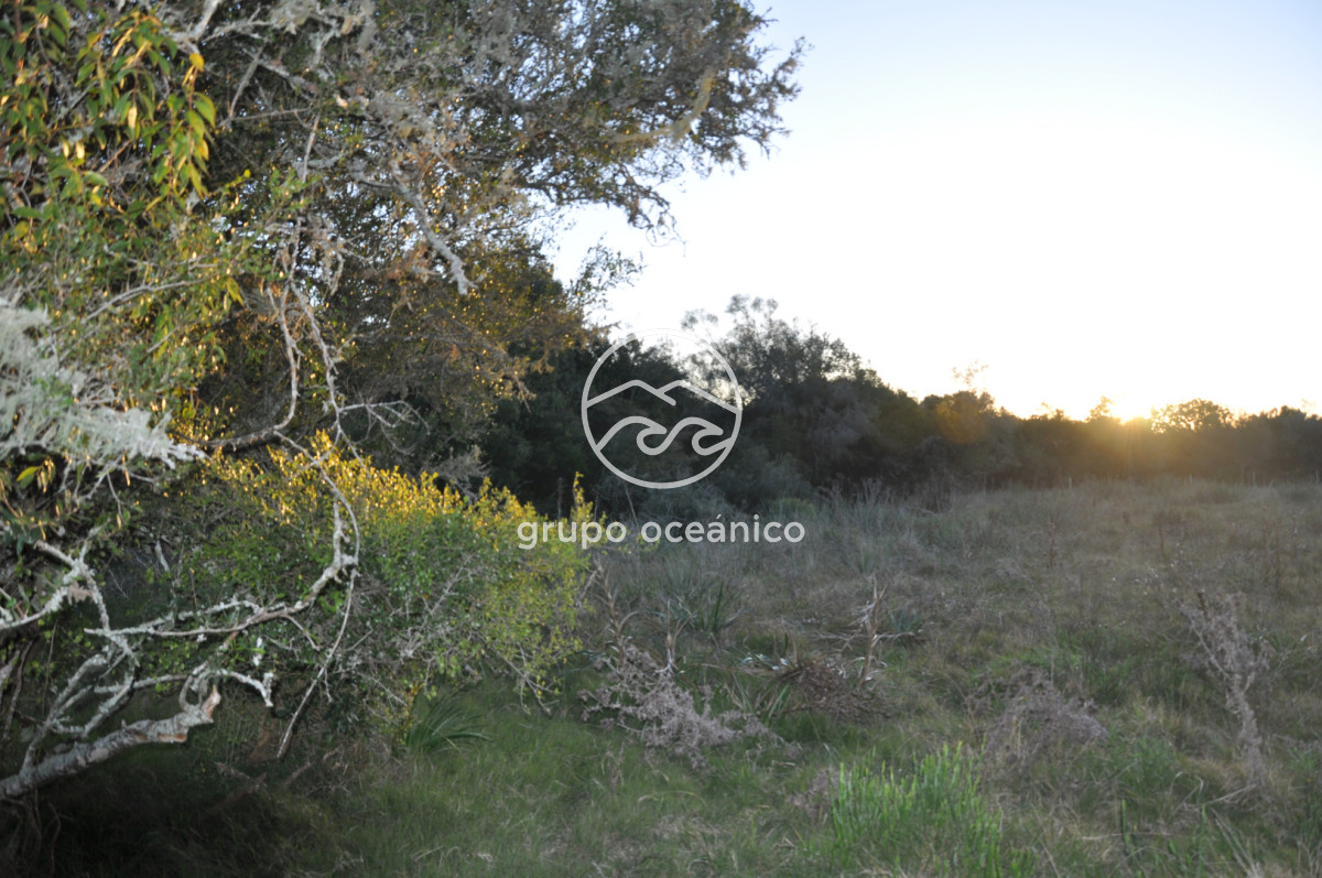 Campo Ref.4 - P 20673 Ruta 9 José Ignacio