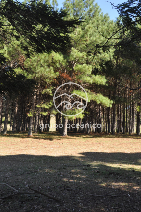 Campo Ref.44 - Campo con instalaciones y casas en Ruta 9 y camino Anastasio