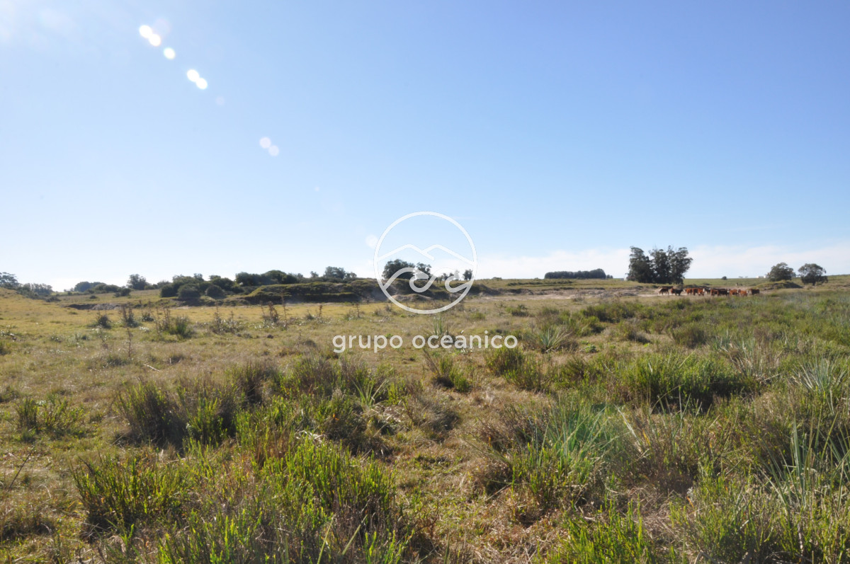 Campo Ref.88 - Campo 91 há sobre Laguna de José Ignacio