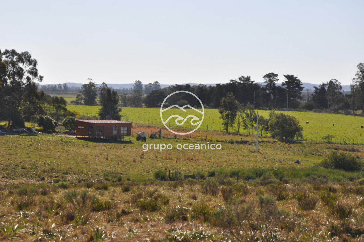 Campo Ref.81 - Campo Paso del Tigre con Cabaña