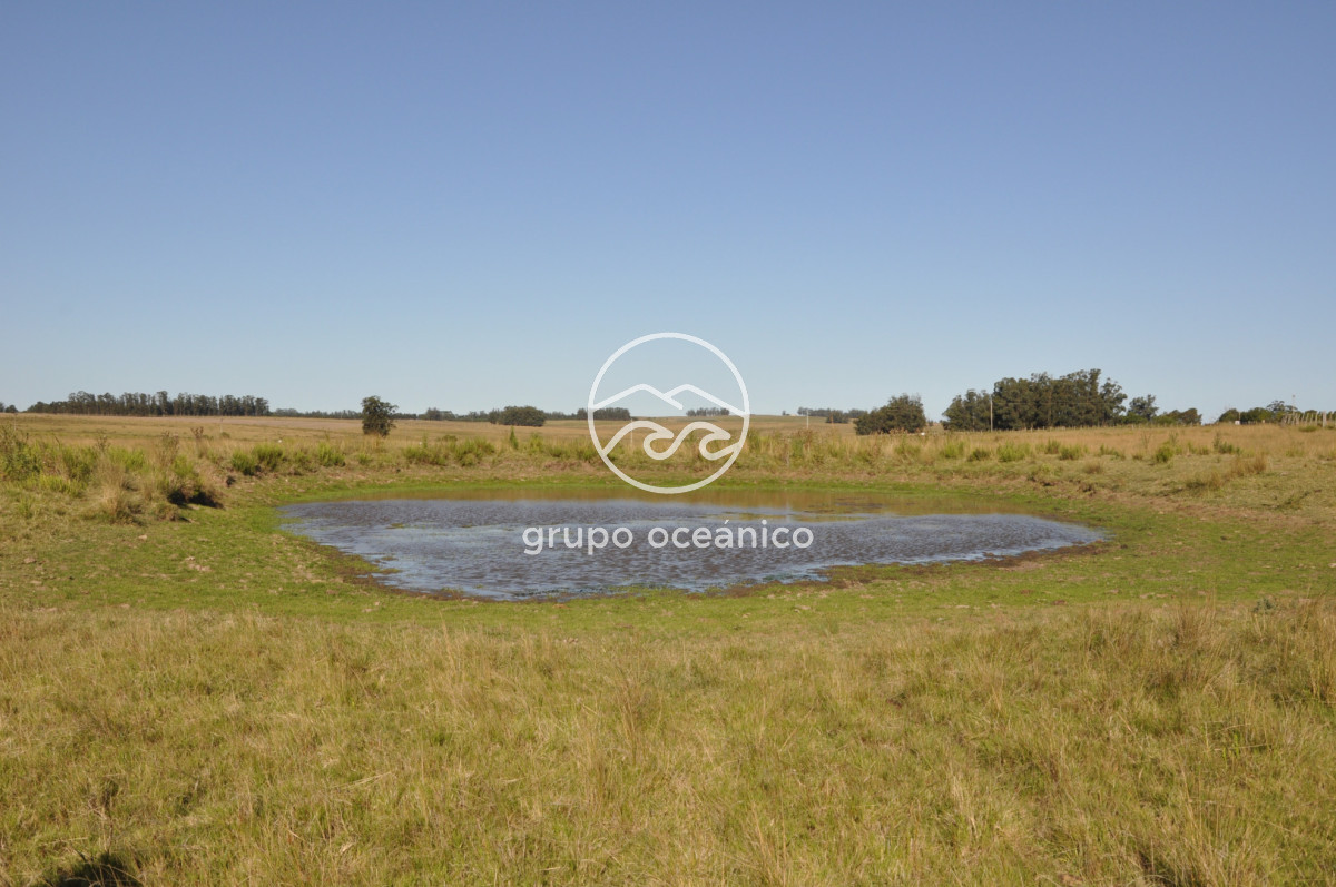 Campo Ref.18 - Campo en camino vecinal y Ruta 9 Zona Bodega Oceánica
