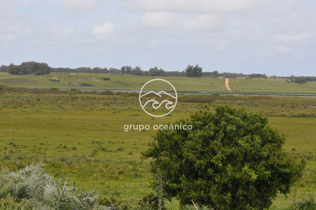 Campo Ref.89 - Campo 280 há sobre Laguna Garzón Área Protegida