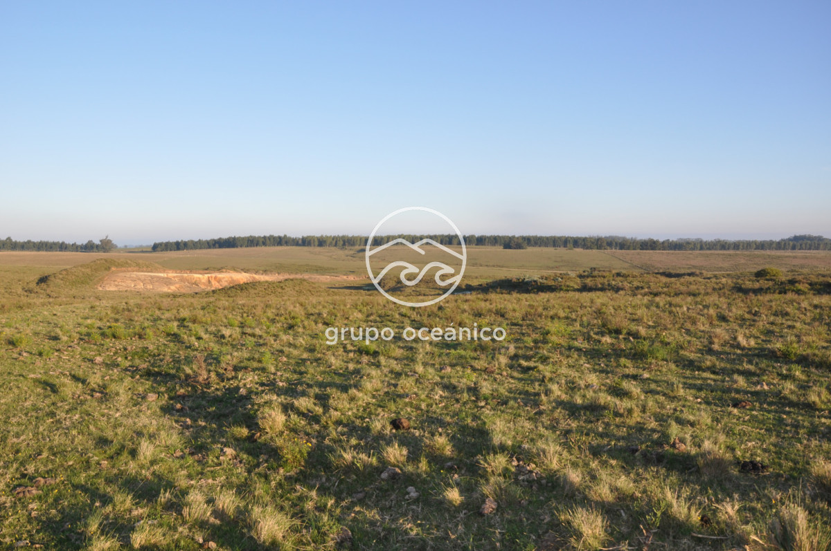 Campo Ref.64 - Campo 30.5 Há sobre Sainz Martínez