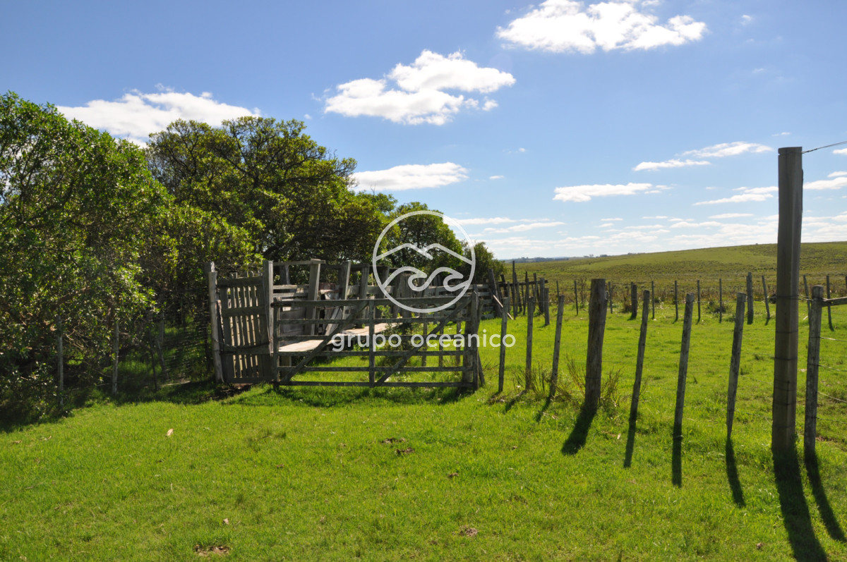 Campo Ref.53 - Campo Rocha Ruta 9 Km 196