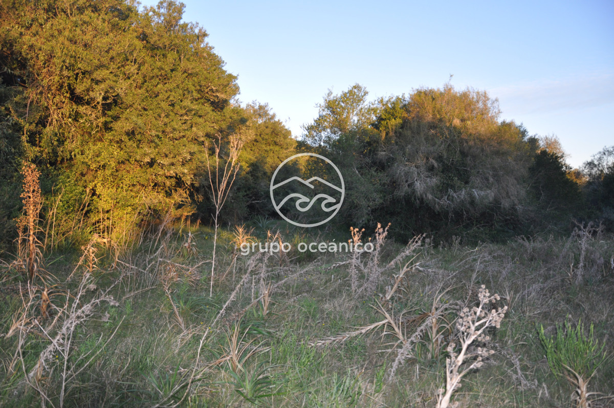 Campo Ref.4 - P 20673 Ruta 9 José Ignacio