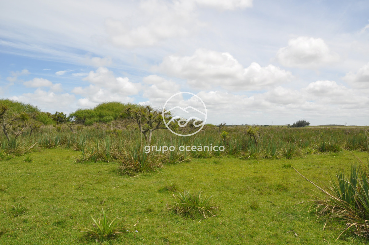 Campo Ref.89 - Campo 280 há sobre Laguna Garzón Área Protegida
