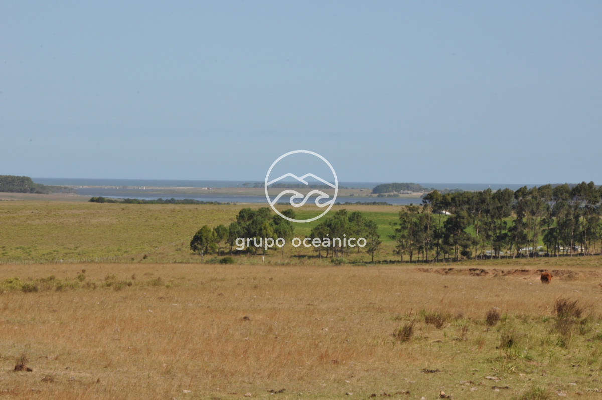 Campo Ref.44 - Campo con instalaciones y casas en Ruta 9 y camino Anastasio