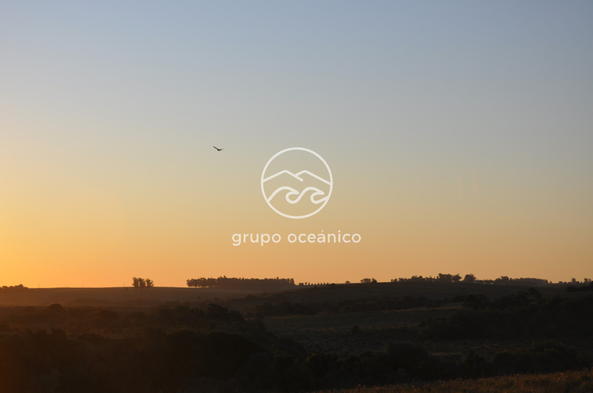 Campo Ref.4 - P 20673 Ruta 9 José Ignacio