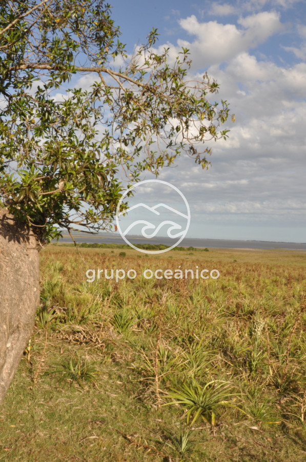 Campo Ref.41 - Campo a orillas de la Laguna de José Ignacio