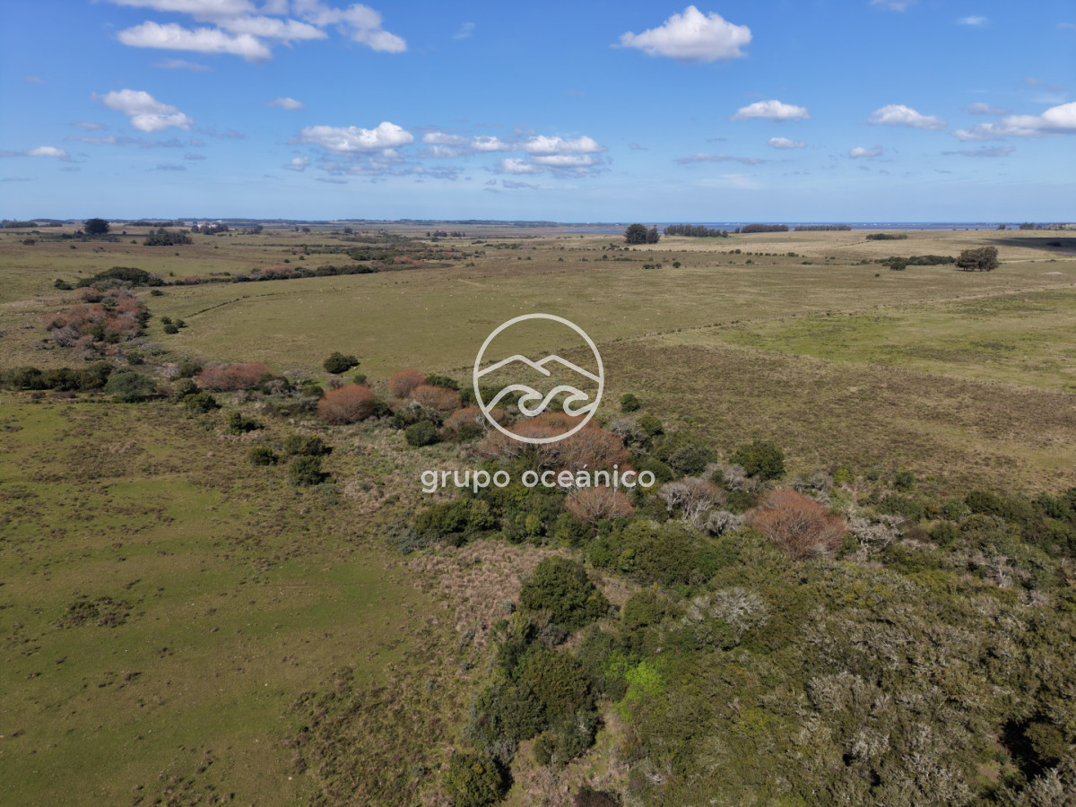 Campo Ref.2 - Campo de 50 hectáreas en Rincón de José Ignacio