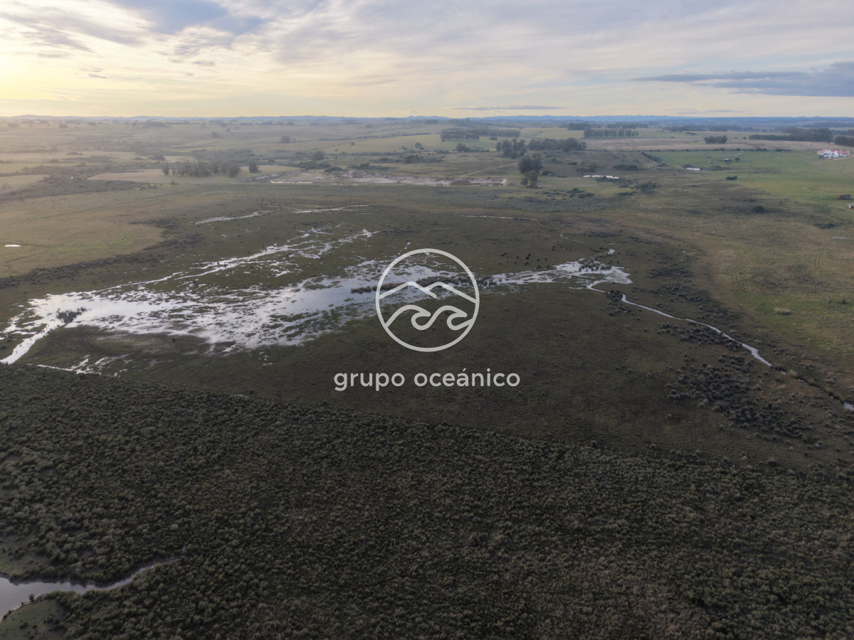 Campo Ref.88 - Campo 91 há sobre Laguna de José Ignacio