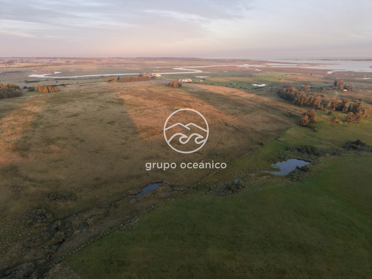 Campo Ref.88 - Campo 91 há sobre Laguna de José Ignacio