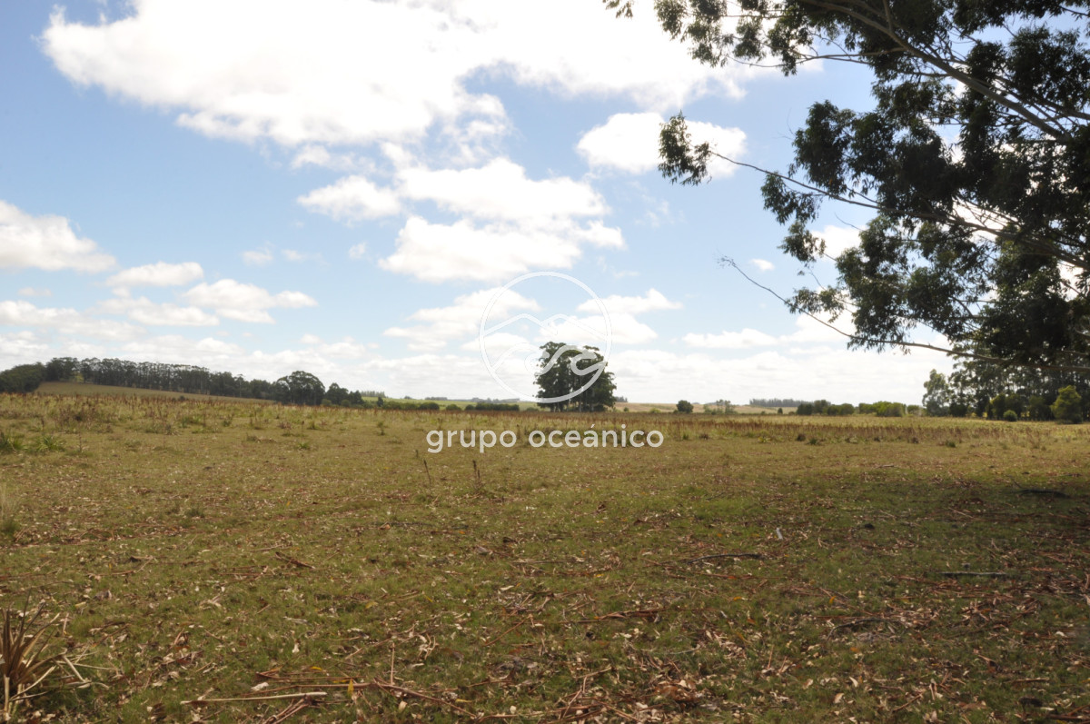 Campo Ref.36 - Campo en Camino las Garzas y Ruta 9  360 Ha ideal para fraccionamiento de chacras