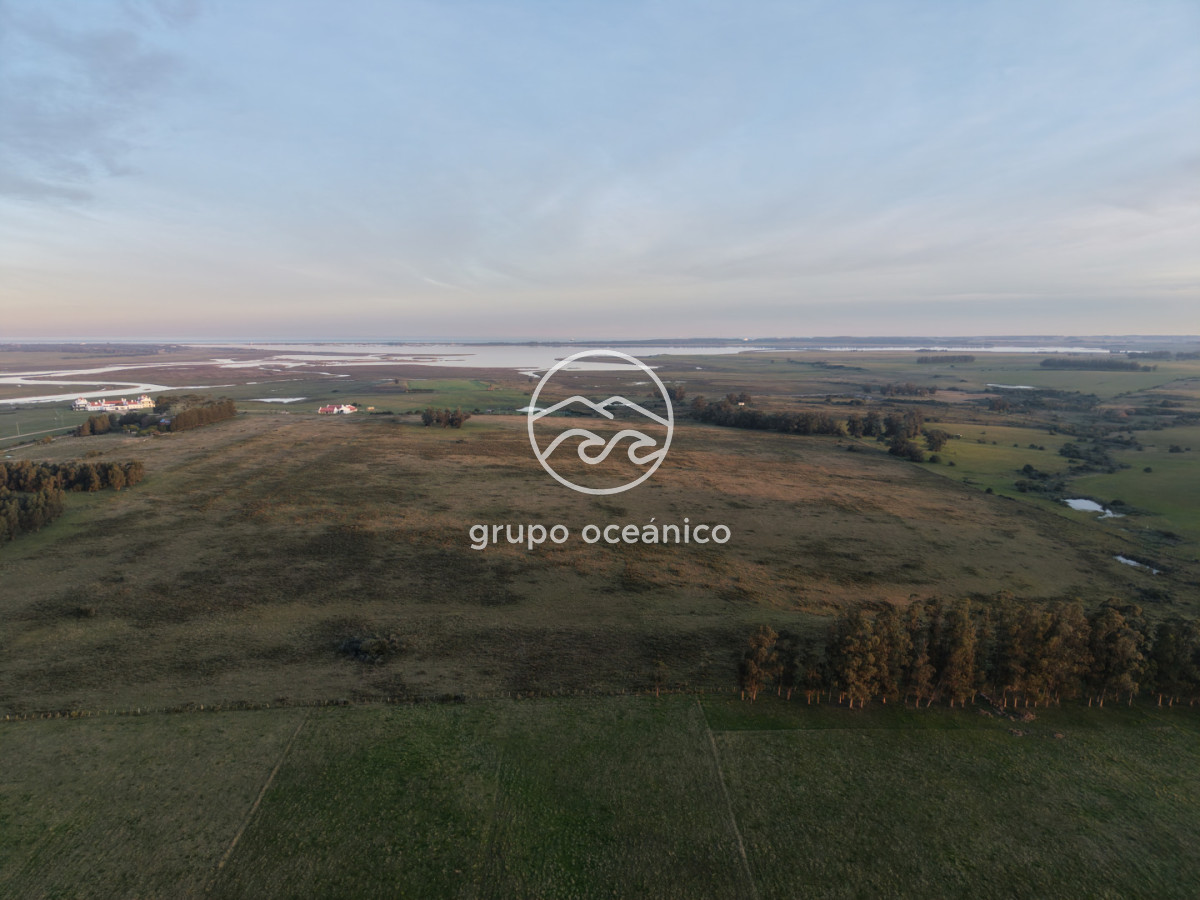 Campo Ref.88 - Campo 91 há sobre Laguna de José Ignacio