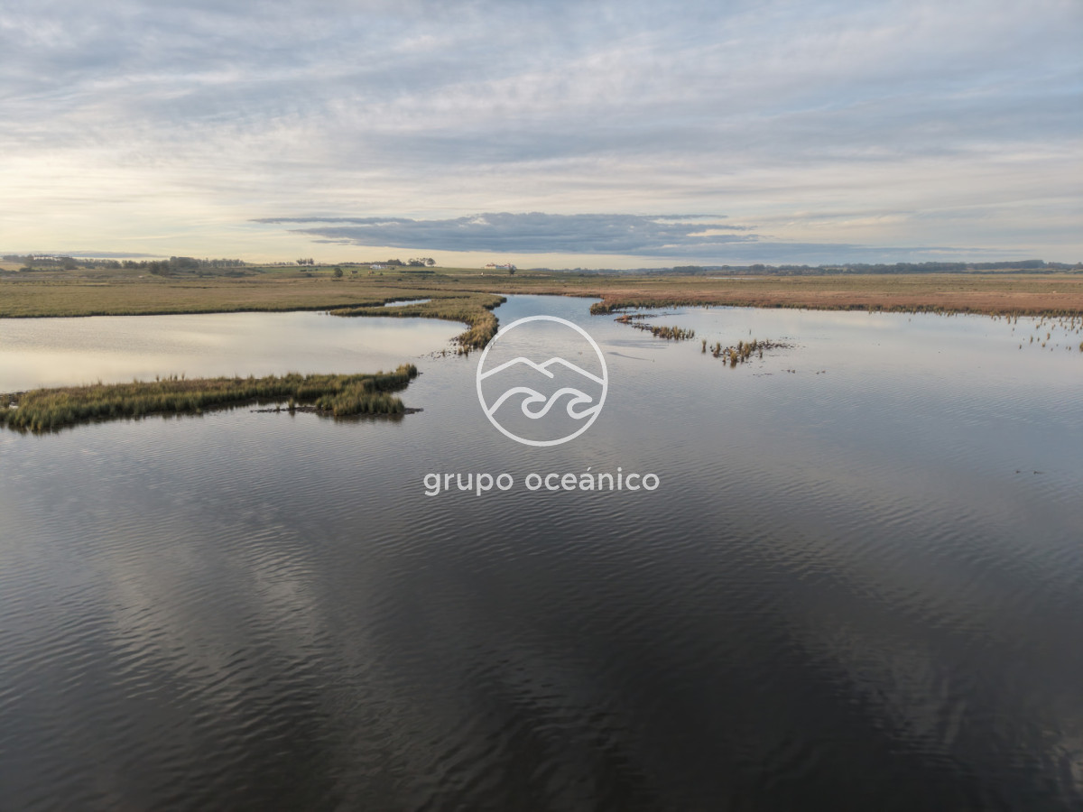 Campo Ref.88 - Campo 91 há sobre Laguna de José Ignacio