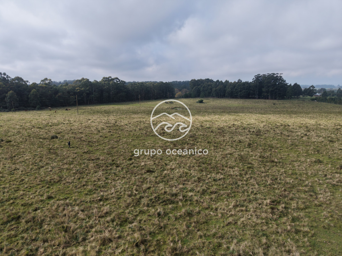 Campo Ref.63 - Campo sobre Ruta 104 a metros del MACA