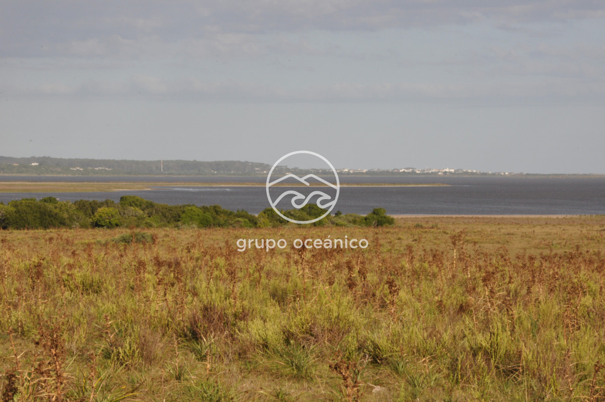 Campo Ref.41 - Campo a orillas de la Laguna de José Ignacio