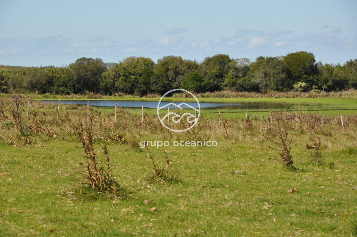 Campo Ref.53 - Campo Rocha Ruta 9 Km 196