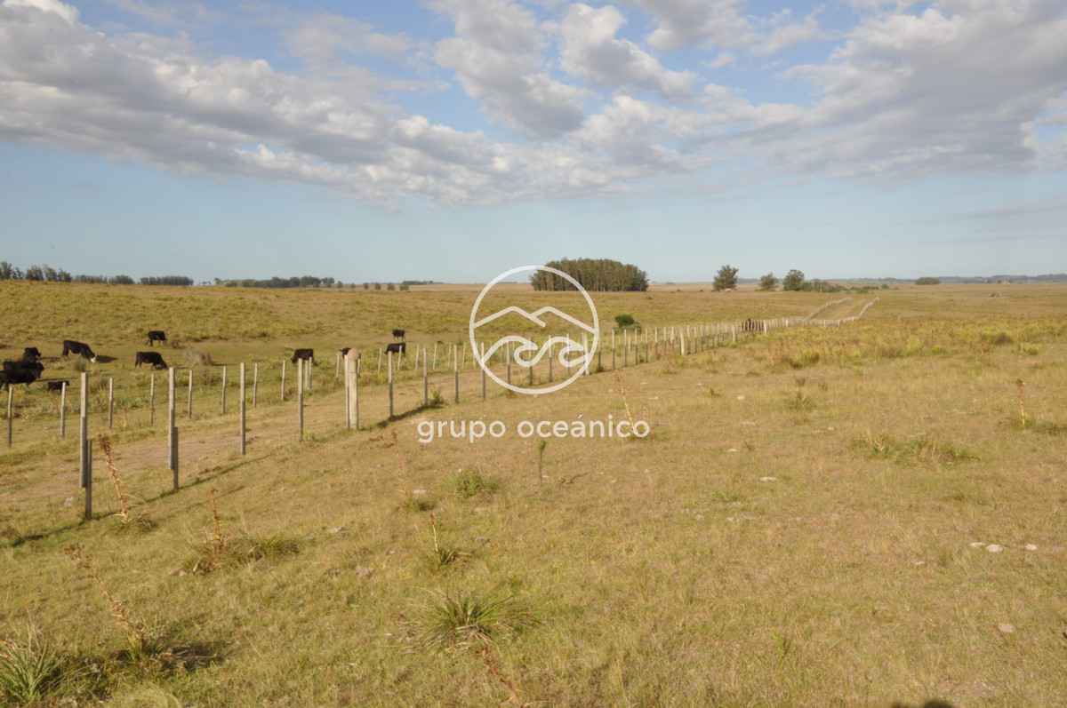 Campo Ref.41 - Campo a orillas de la Laguna de José Ignacio