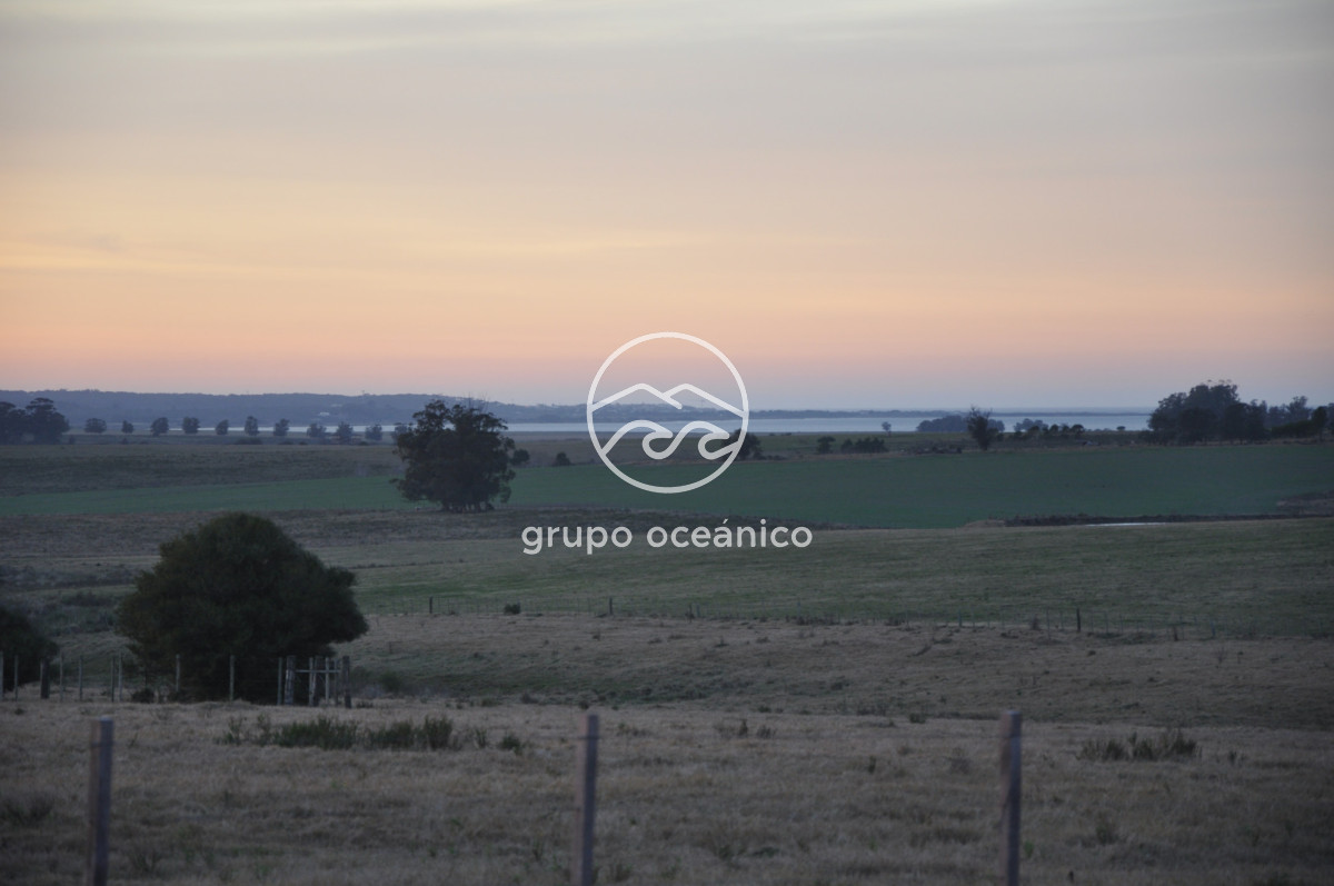 Campo Ref.3 - Campo de 39 hectáreas en Rincón de José Ignacio