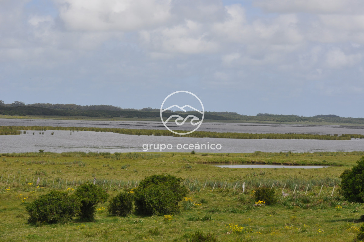 Campo Ref.89 - Campo 280 há sobre Laguna Garzón Área Protegida