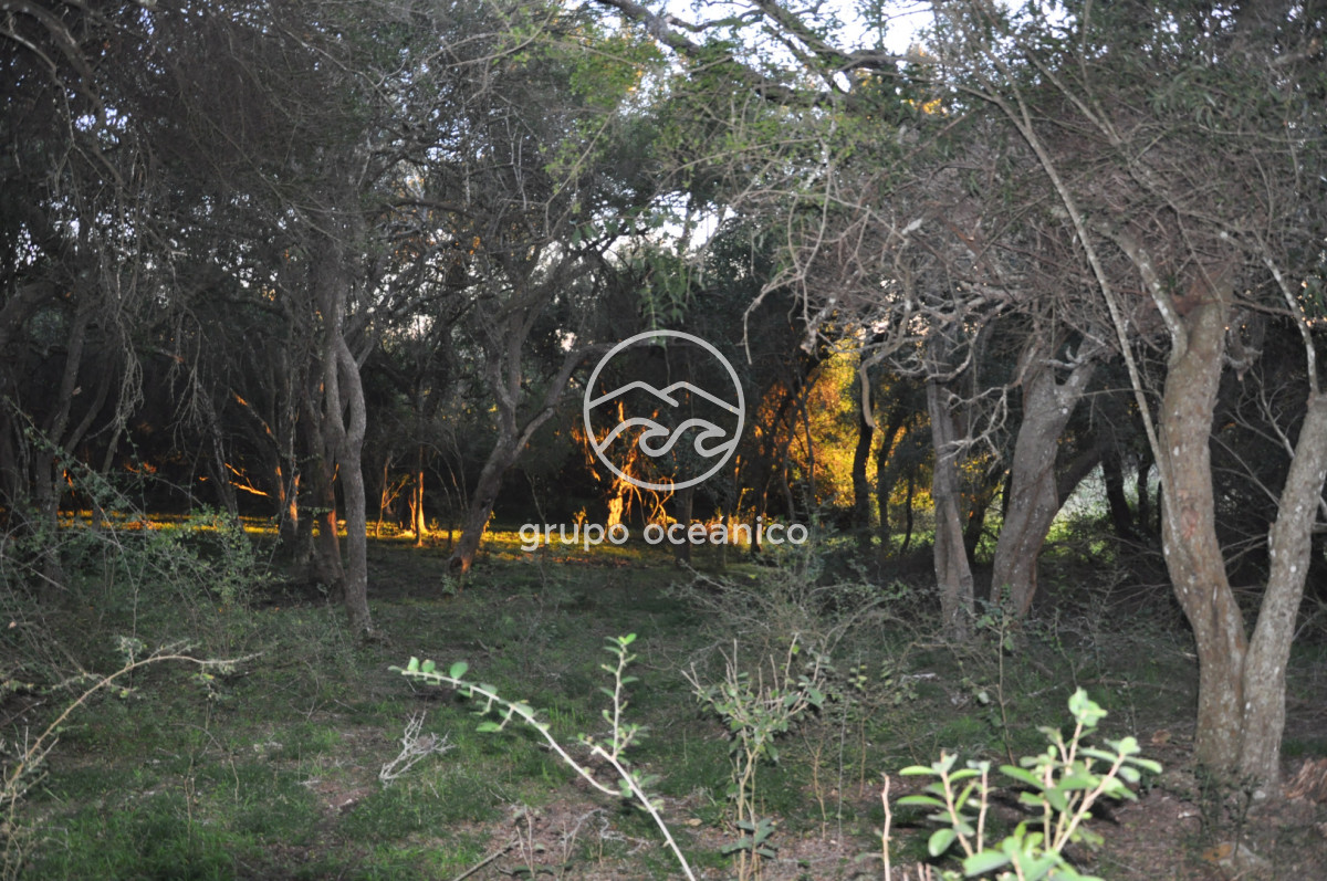 Campo Ref.4 - P 20673 Ruta 9 José Ignacio