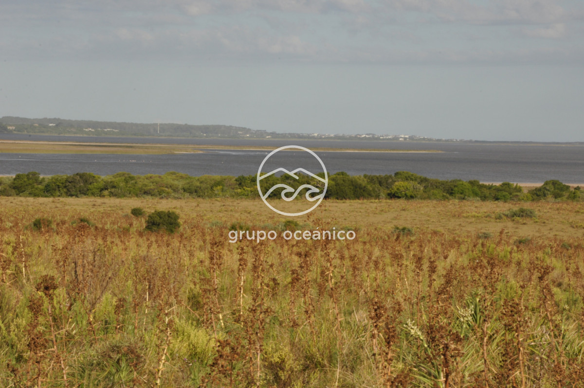 Campo Ref.41 - Campo a orillas de la Laguna de José Ignacio