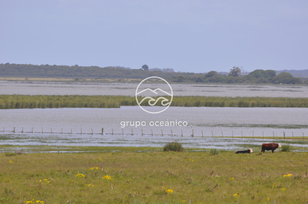 Campo Ref.89 - Campo 280 há sobre Laguna Garzón Área Protegida