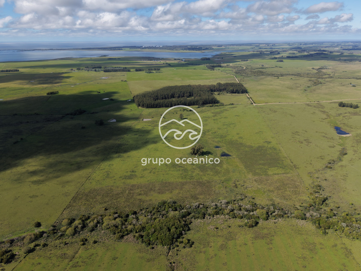 Campo Ref.2 - Campo de 50 hectáreas en Rincón de José Ignacio