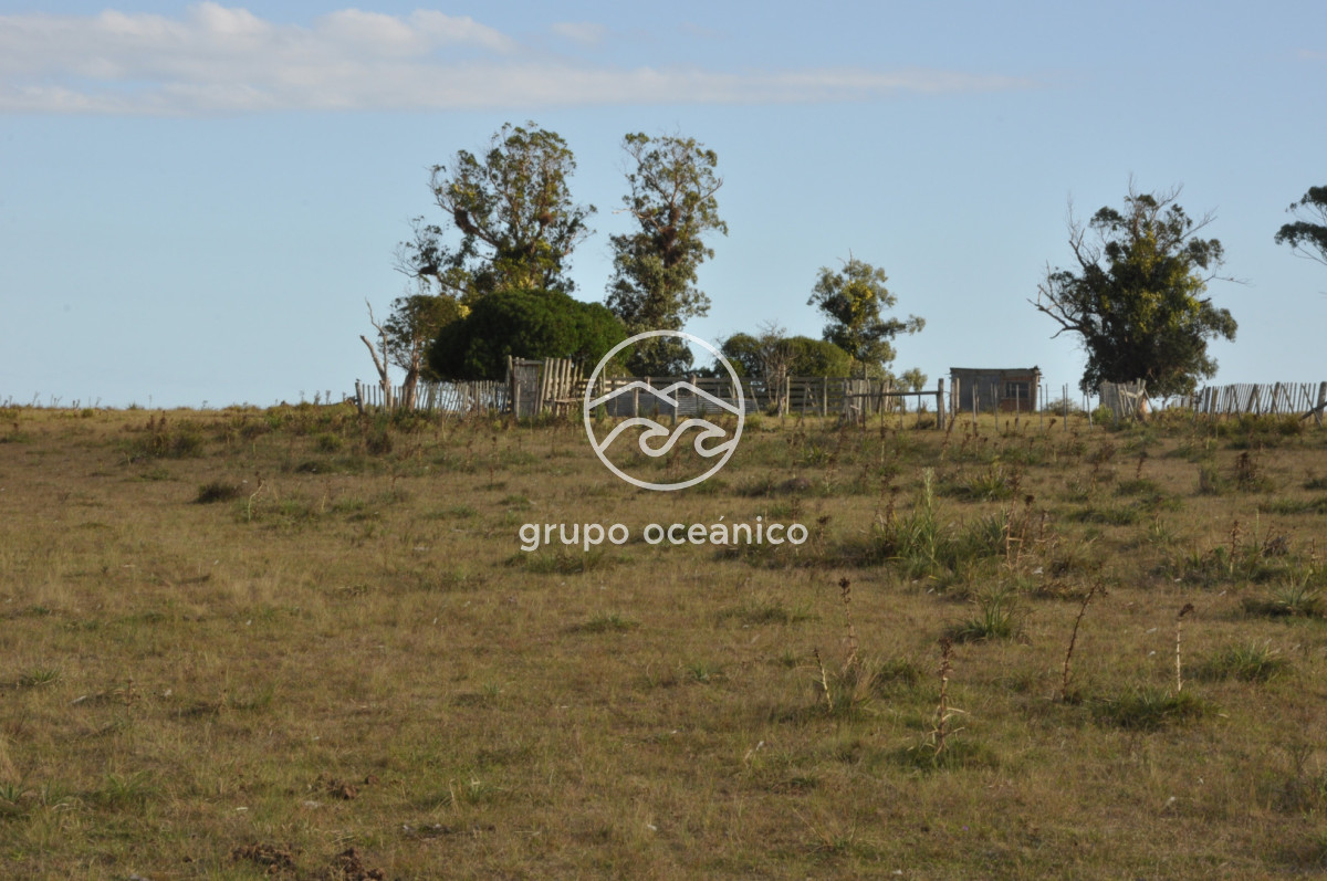 Campo Ref.41 - Campo a orillas de la Laguna de José Ignacio