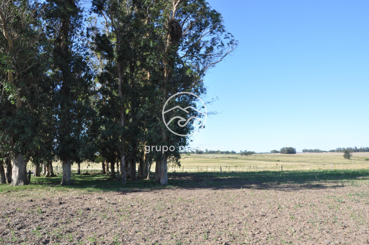 Campo Ref.18 - Campo en camino vecinal y Ruta 9 Zona Bodega Oceánica